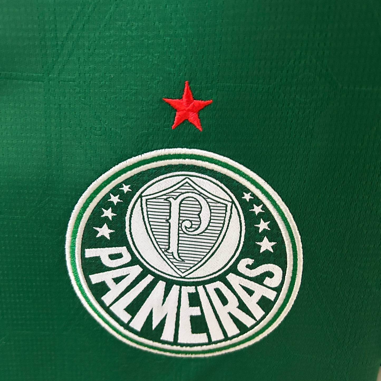 CAMISETA PALMEIRAS LOCAL 2025/2026